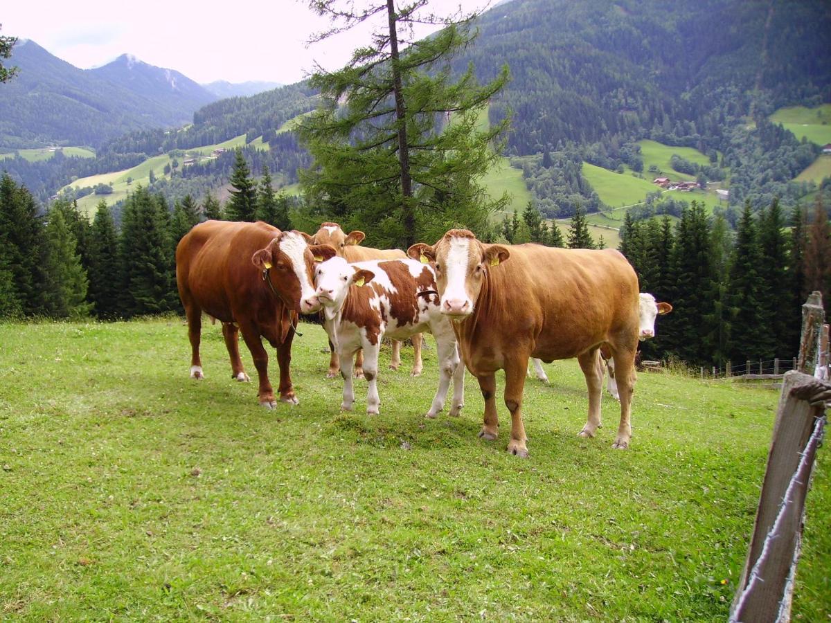 Mittergruberhof Schladming Exterior foto